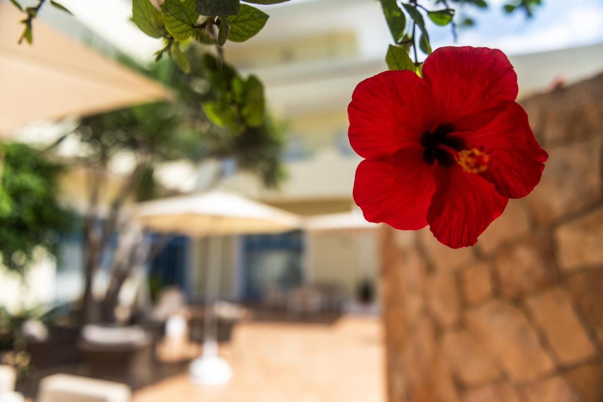 Hotel Baia Turchese LMP Extérieur photo